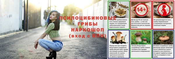 jwh Струнино